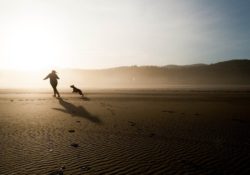 Běh se psem jako výplň volného času. Držte se ale několika zásad