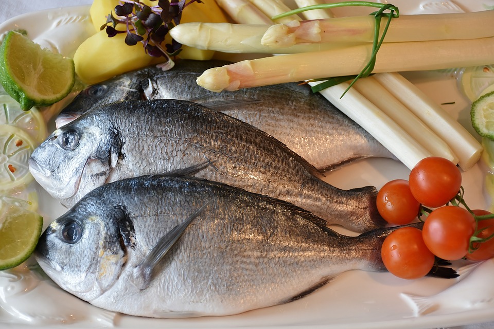 ryby a jejich dopad na zdraví