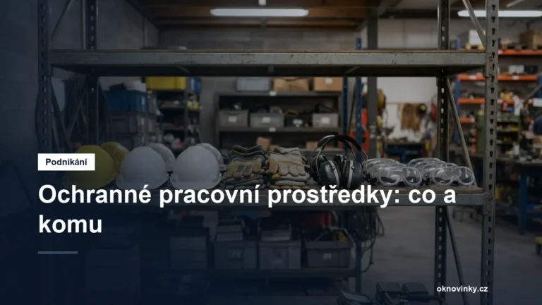 Ochranné pracovní prostředky: co a komu